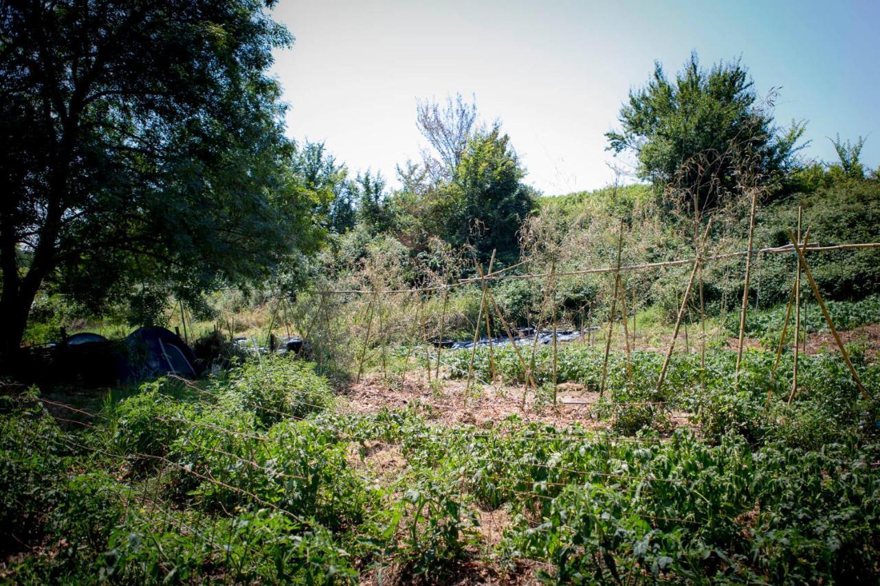 Tente En Permaculture Pirate Creysse  Exteriér fotografie